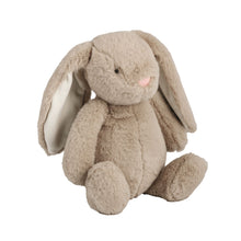 Load image into Gallery viewer, Bunny Plush Pal