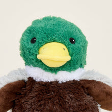 Load image into Gallery viewer, Mallard Warmies