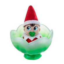 Load image into Gallery viewer, Frost Pips Mini Blooms