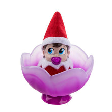 Load image into Gallery viewer, Frost Pips Mini Blooms