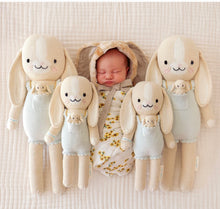 Load image into Gallery viewer, Cuddle + Kind Briar the Bunny 13”