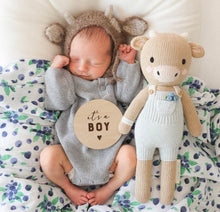 Load image into Gallery viewer, Cuddle + Kind Asher the Cow