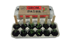 Load image into Gallery viewer, Grow Garden Salsa