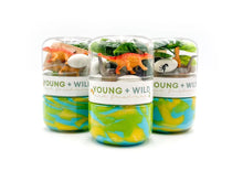 Load image into Gallery viewer, Grab & Go Sensory Dough Dino