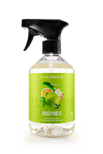Load image into Gallery viewer, Caldrea Countertop Spray