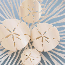 Load image into Gallery viewer, Teleties Sand Dollar Flat Clip