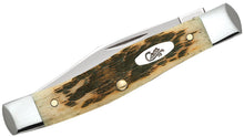 Load image into Gallery viewer, Case Amber Bone Peach Seed Jig Small Texas Jack Knife
