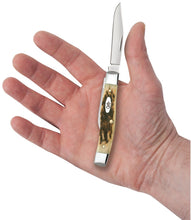 Load image into Gallery viewer, Case Amber Bone Peach Seed Jig Small Texas Jack Knife