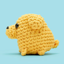 Load image into Gallery viewer, The Woobles Crochet Kit for Beginners
