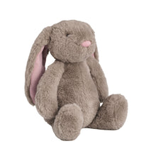 Load image into Gallery viewer, Bunny Plush Pal
