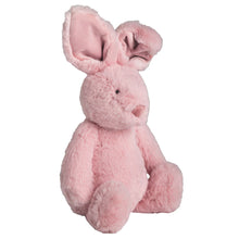 Load image into Gallery viewer, Bunny Plush Pal
