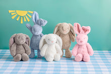 Load image into Gallery viewer, Bunny Plush Pal
