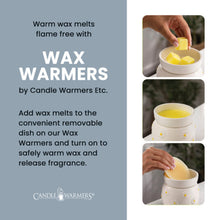 Load image into Gallery viewer, Noir Electric Wax Warmer
