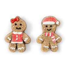 Load image into Gallery viewer, Gingerbread Treats Marshmallows
