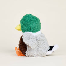 Load image into Gallery viewer, Mallard Warmies
