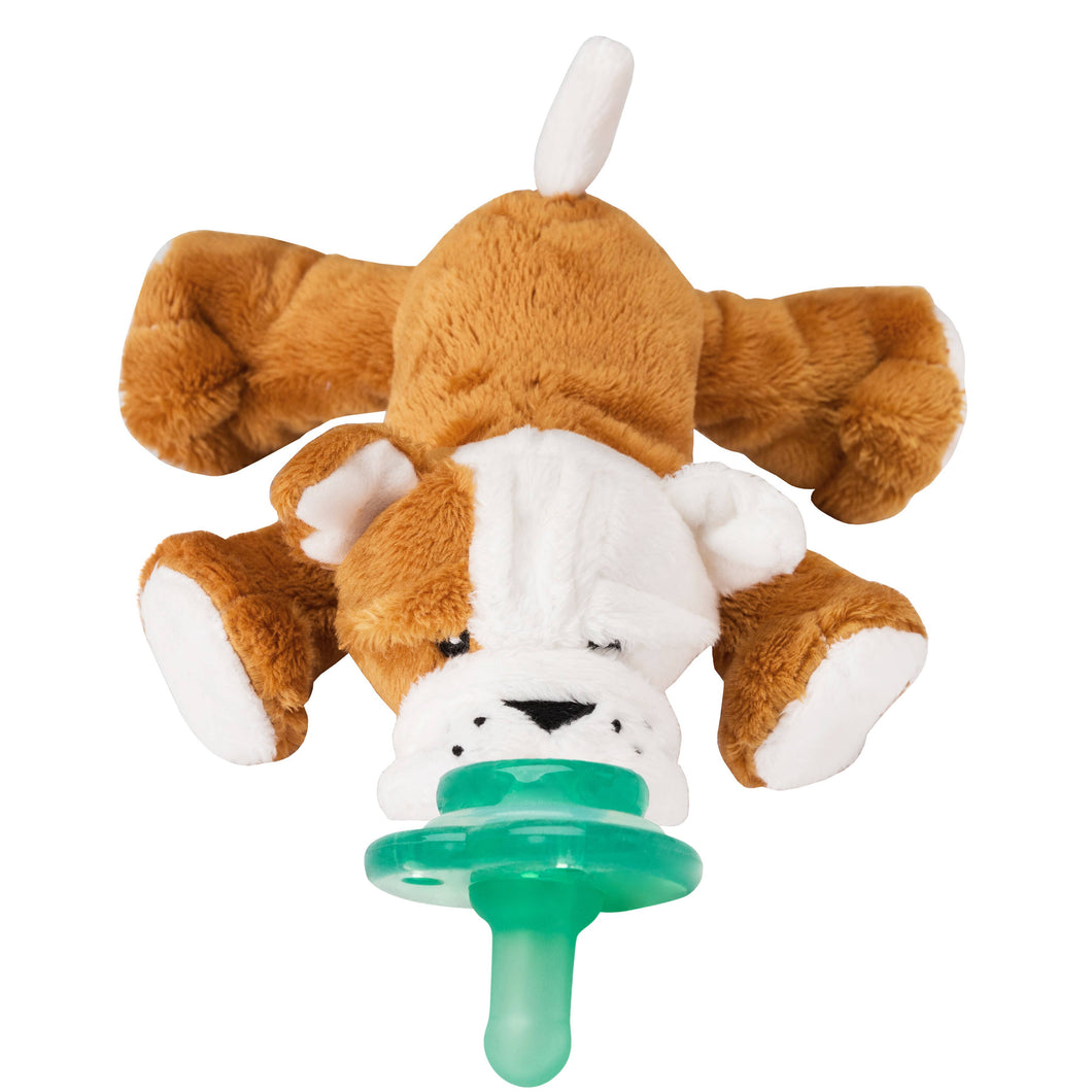 Nookums Paci-Plushies Shakies – Barkley Bull Dog