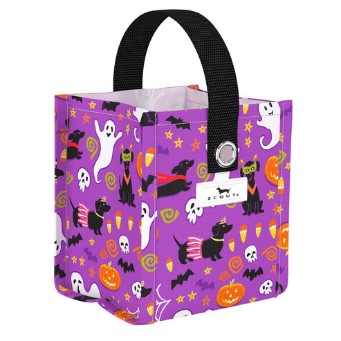 Scout Midi Package Howl o Weenie