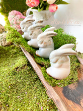 Load image into Gallery viewer, Etta B Bunny Figurines, Cottonwood
