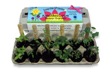Load image into Gallery viewer, Kaleidoscope Flower Garden
