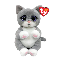 Load image into Gallery viewer, Ty Beanie Bellies
