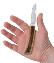 Load image into Gallery viewer, Crossroads Smooth Brown/Green Dymalux® Wood XR Sod Buster® Jr
