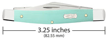 Load image into Gallery viewer, Case Seafoam Green G-10 Smooth Medium Stockman
