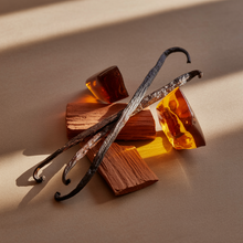 Load image into Gallery viewer, Pura Smart Vial - Santal Vanilla
