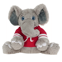 Load image into Gallery viewer, Warm Pals Alabama Big Al
