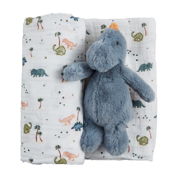 Dino Swaddle and Rattle