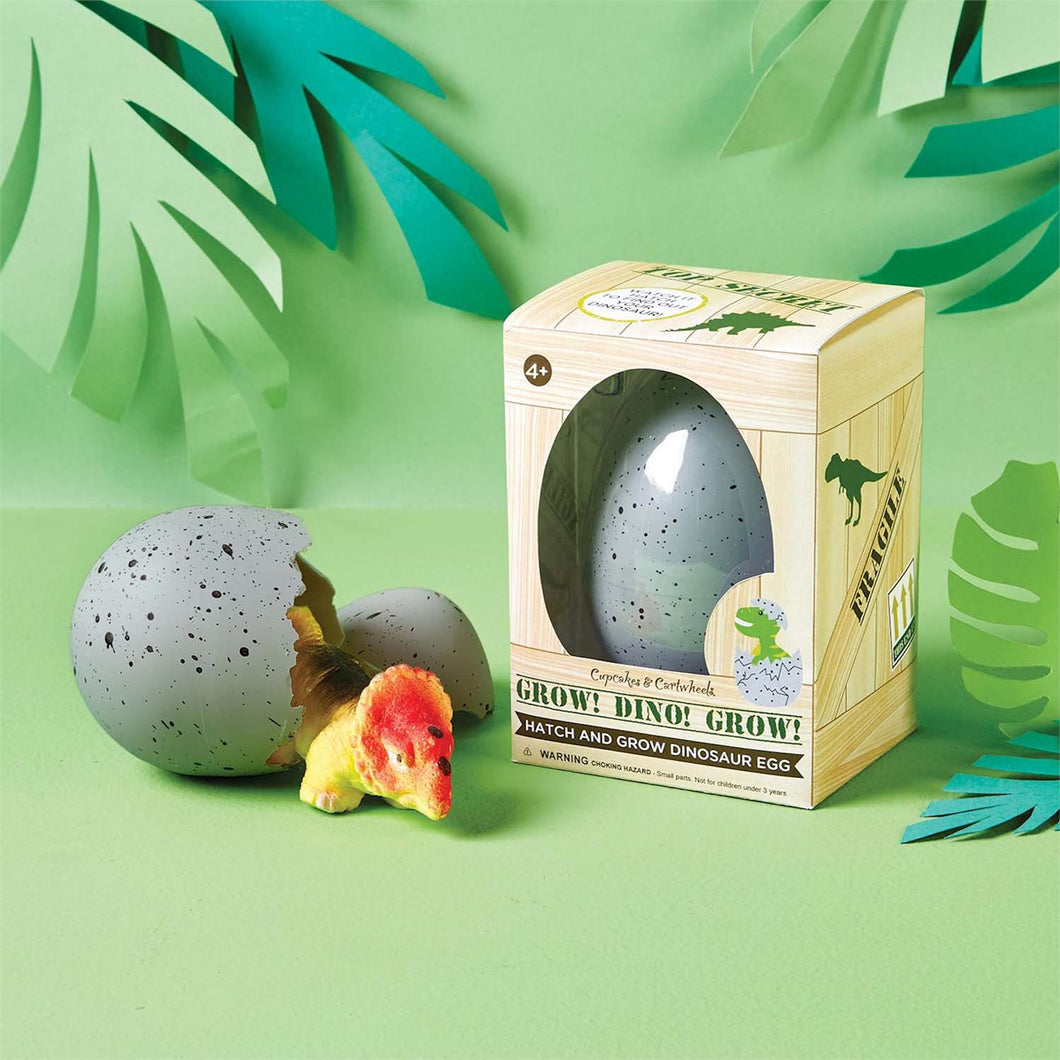 Hatch & Grow Dino Egg