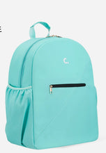 Load image into Gallery viewer, Corkcicle Brantley Backpack
